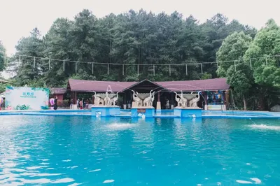 Forest Hot Spring at Kunming Golden Temple Back Mountain: Joyful May Day Beer BBQ Festival, No Tricks