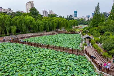 紫荆山公园