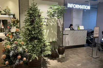 Korean Department Store Shopping Guide: Hyundai Department Store Seoul - A Shopping Paradise for International Students in Korea!