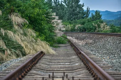 The Soon-to-Be-Abandoned Old Railway: From Freight Corridor to Green Wonderland, Documenting This Ecologically Livable City