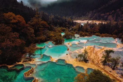 盆景池