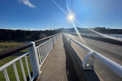 Scrivener Dam Lookout