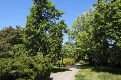 Park Obwodu Praga Armii Krajowej