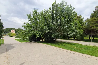 Park - Im. Amira Temura