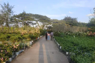 Ma Wa Ta Football Stadium