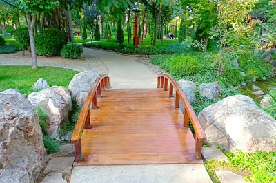 Japanese Garden
