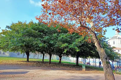 Parco Giovanni Paolo II