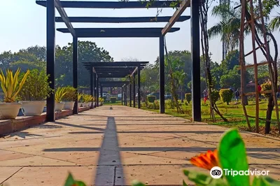 India Africa Friendship Rose Garden