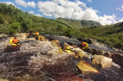 Cape Town Ziplines SA Forest Adventures