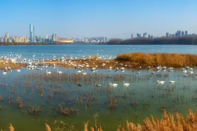 Swan Lake National Urban Wetland Park