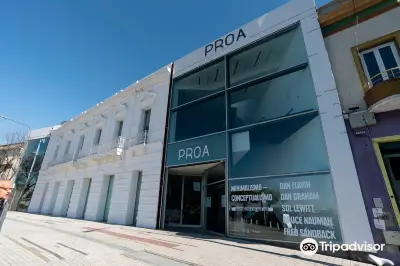 fundacion PROA