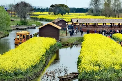Roaming the World (1762): Jiangsu-Anhui Self-Drive Tour Part Three — Xinghua Qiandao Rapeseed Flower Scenic Area