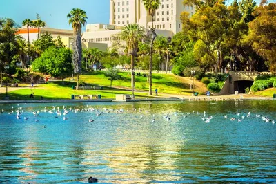 MacArthur Park