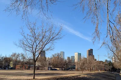 Mestizo-Curtis Park