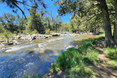 Kambah Pool Reserve