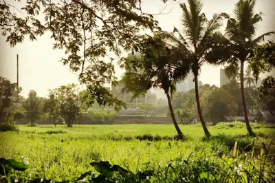 Aarey Picnic Point Pond