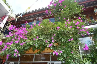 身體和靈魂總有一個在路上——記屬於我的旅行(三)