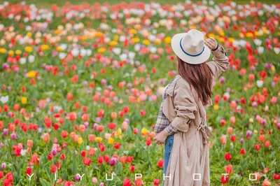Beijing’s Best Family Outing: Shunyi Flower Port – Spring Blooms