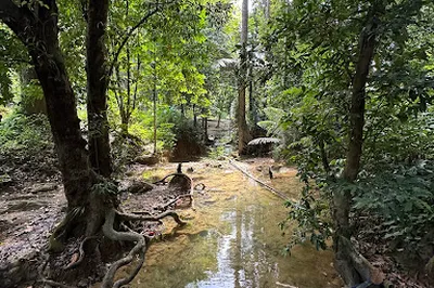 Taman Eko-Rimba Bukit Ayer