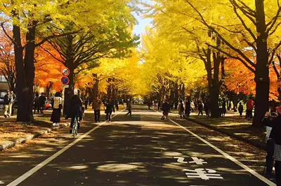 A Thought Sparked - Kansai Japan Trip