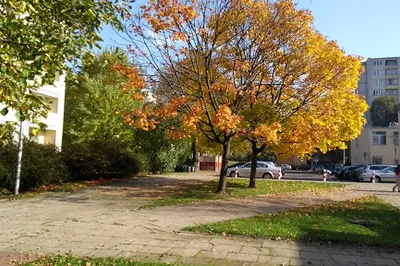 Zasław Malicki park