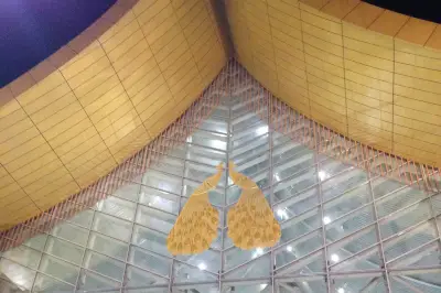 欠自己的旅行，终有一天要还给自己——彩云之南~第一次远行的闺蜜游~