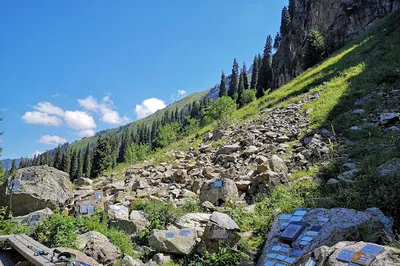 Memorial Al'pinistov