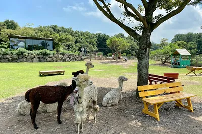 Dochidol Ranch