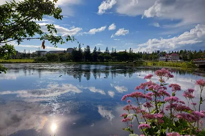 Þorfinnstjörn