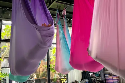 Mint Studio Hoi An - Aerial/Yoga/Pilates studio