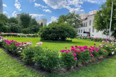 Park Krasnaya Presnya