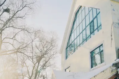 My Last Trip of 2020: A Foolproof Guide to Harbin, Mohe, and Snow Town