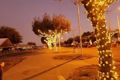 Santa Clara County Fairgrounds - Gate D