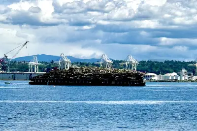 Alki Beach