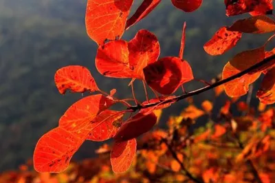 National Day is Coming! A Premium Yongji Travel Route to Start Your Golden Autumn Rendezvous!