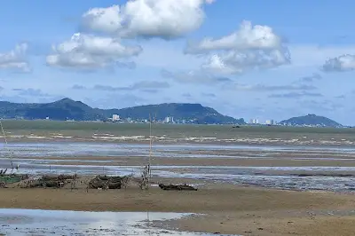 Bãi biển Cần Giờ