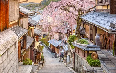 京都盛開的櫻花（享受A佳福利的京都3天2晚遊）