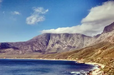 Whale Lookout Point