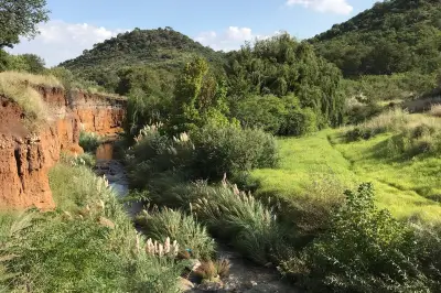 Klipriviersberg Nature Reserve