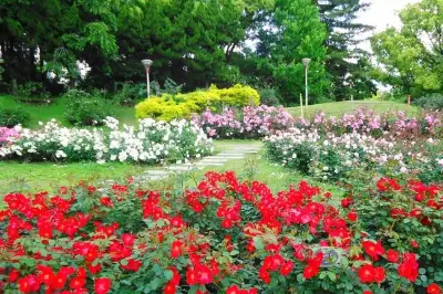 Utsubo Park
