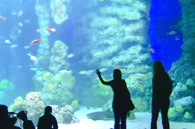 Downtown Aquarium