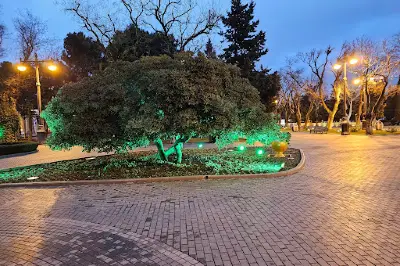 Swans Fountain
