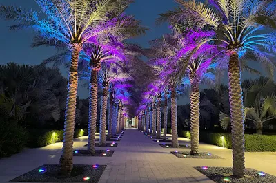 Fox Hills Residents' Park