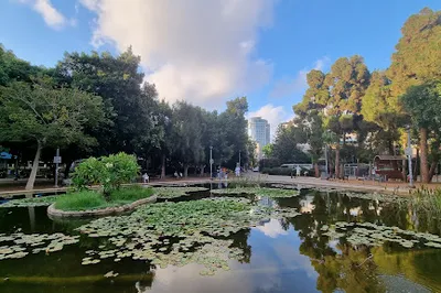 Meir Park