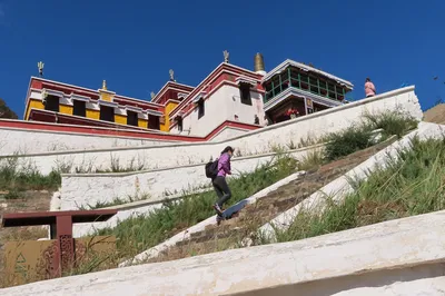 Journey to the West 2 (Wudangzhao) — A Trip to Ejina for the Populus Euphratica