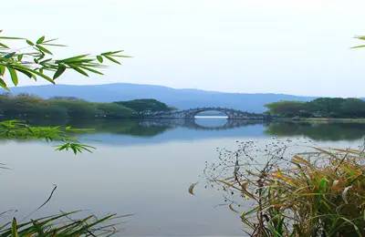 哪一年，我在杭州湘湖，西溪湿地看秋色 ▏杭州市自驾游实用攻略 ▏冬游苏、浙、皖实用攻略 ▏【2020
