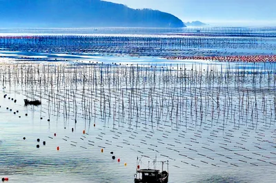 Fujian Travel: A Two-Day Wandering Journey in Xiapu (Photos)