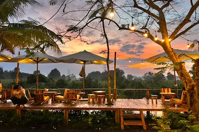 BINIFARM - Tropical Retreat