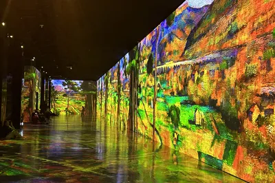 Hidden Gem South Korea Self-Guided Tour Guide: Explore Korea's World of Light and Shadow for an Immersive Art Journey!