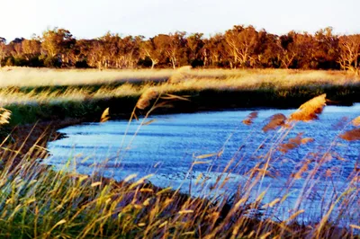 Braeside Park